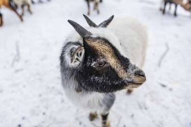 Similar image 22360688