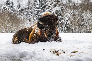 Similar image 22360689