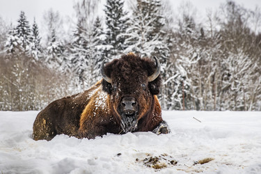 Similar image 22360690