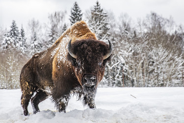 Similar image 22360692