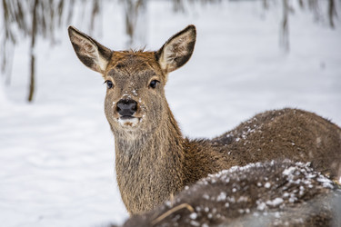 Similar image 22360694