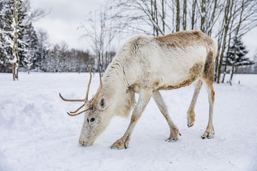 Similar image 22360696