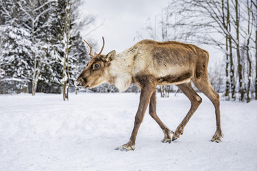 Similar image 22360697