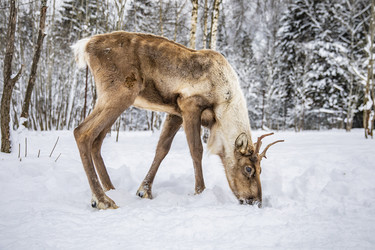 Similar image 22360701