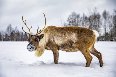 Similar image 22360703