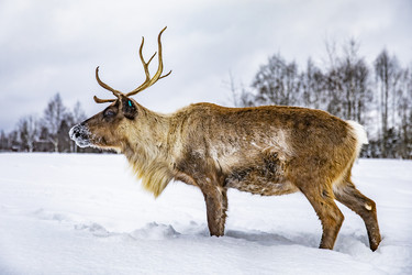 Similar image 22360704