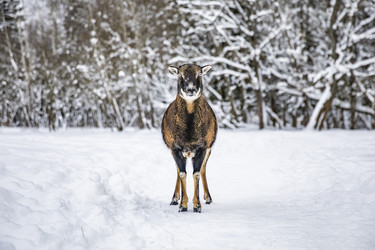 Similar image 22360705