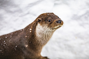 Similar image 22360706