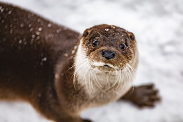 Similar image 22360707