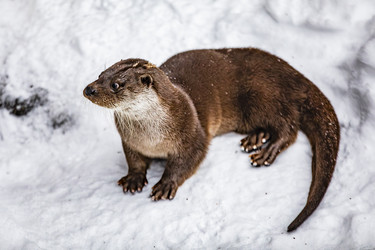 Similar image 22360709