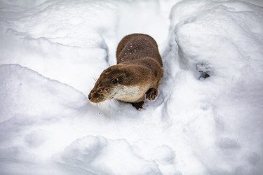 Similar image 22360711