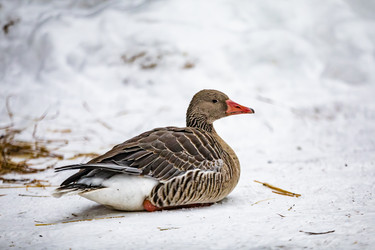 Similar image 22360712