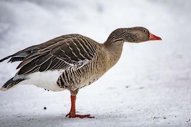 Similar image 22360720