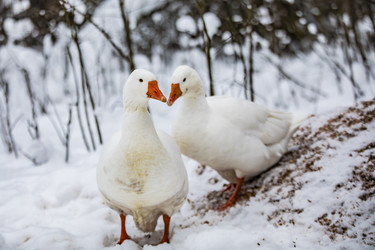 Similar image 22359190