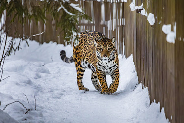 Similar image 22359191