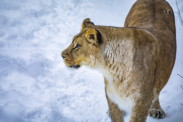 Similar image 22359192