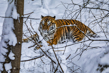 Similar image 22359193