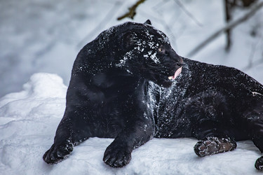 Similar image 22359194