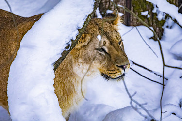 Similar image 22359196