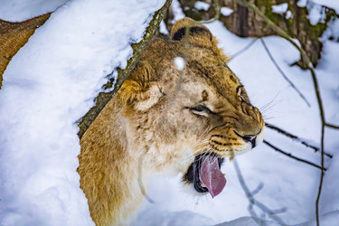 Similar image 22359197