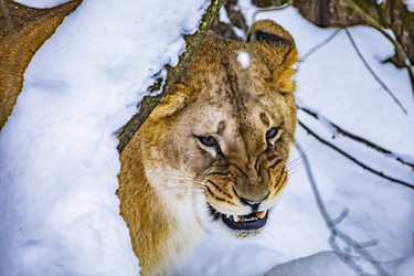 Similar image 22359198