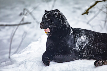 Similar image 22359199