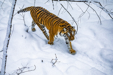 Similar image 22359200