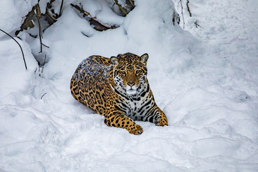 Similar image 22359201