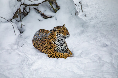 Similar image 22359202