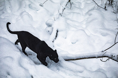 Similar image 22359203