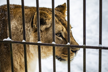 Similar image 22359204