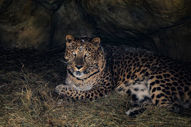 Similar image 22359205