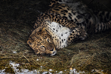 Similar image 22359206