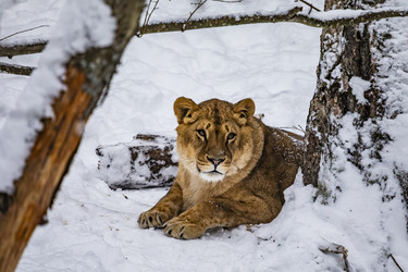 Similar image 22359207