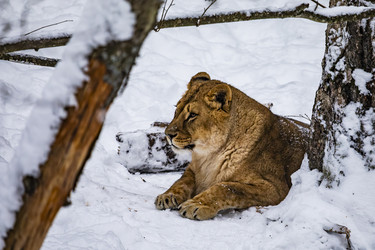 Similar image 22359208