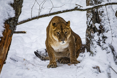 Similar image 22359209