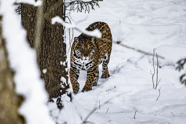 Similar image 22360565