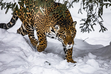 Similar image 22360566