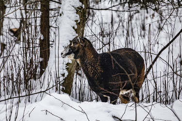 Similar image 22360567