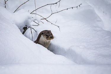 Similar image 22360568