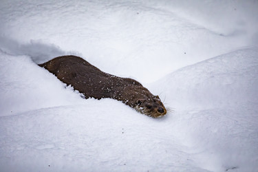 Similar image 22360569