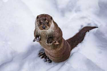 Similar image 22360571