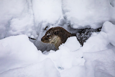 Similar image 22360572