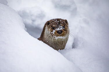 Similar image 22360573