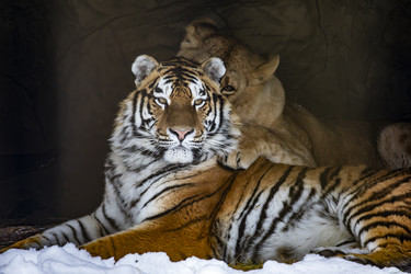 Similar image 22360574