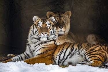 Similar image 22360575