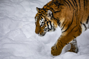 Similar image 22360576