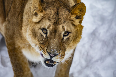 Similar image 22360577