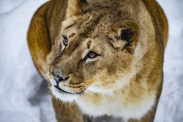 Similar image 22360578