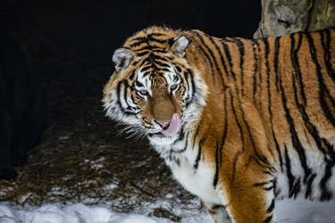 Similar image 22360579